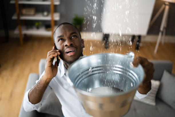 Best Mold removal after water damage  in Withamsville, OH