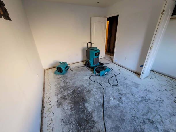 Best Local water damage restoration  in Withamsville, OH