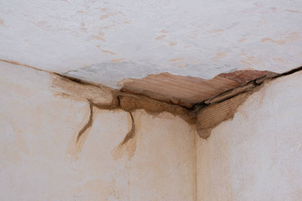 Best Basement water damage restoration  in Withamsville, OH