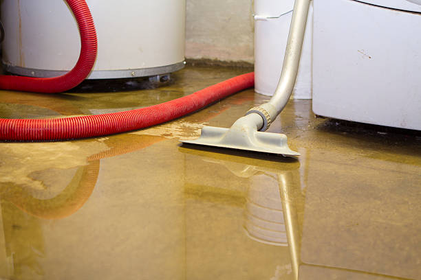 Best Emergency water extraction  in Withamsville, OH