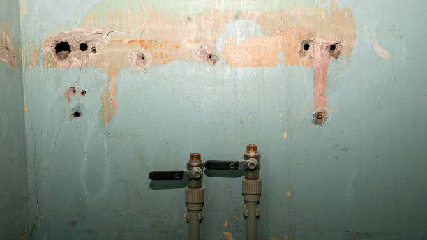 Best Residential water damage restoration  in Withamsville, OH