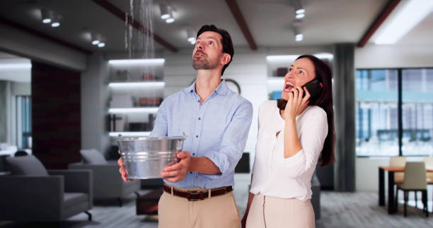 Best Local water damage restoration  in Withamsville, OH